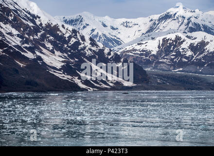 Glacier Hubbard, le Désenchantement Bay, Alaska, USA, Dimanche 20 Mai, 2018. Banque D'Images