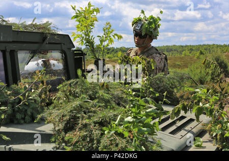 Soldat américain, SPC. Christian Evans, attribué au 2e Bataillon, 7e Division d'infanterie, 1st Armored Brigade Combat Team, attache les branches pour son Humvee de camouflage pendant le fonctionnement Anakonda dans la zone d'entraînement de Szczecin (DPTA) près de Oleszno, Pologne, le 9 juin 2016. Anakonda 2016 est un exercice multinational dirigée par la Pologne, qui aura lieu en Pologne du 7 au 17 juin. Cet exercice implique plus de 25 000 participants forment plus de 20 nations. (U.S. Photo de l'armée par le Sgt. Ashley En/libérés) Banque D'Images