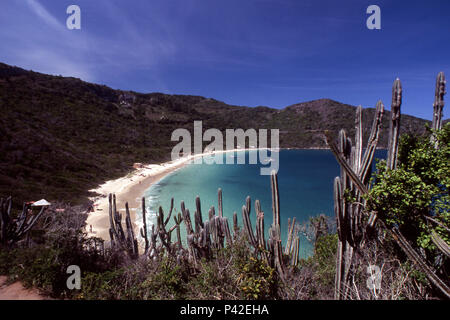 Praia do Forno, Arraial do Cabo Rio de Janeiro Brasil 1995. Foto : JoÃ£o FÃ¡Fotoarena/vero Banque D'Images