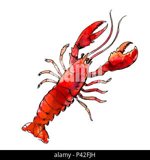 Homard aquarelle rouge Banque D'Images