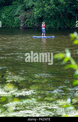 Stand Up Paddle avec d'inspirer à l'aventure sur la rivière Wye à Monmouth. Banque D'Images
