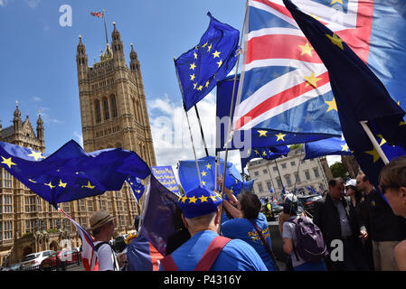 Le Parlement, à Londres, Royaume-Uni. 20 juin 2018. La SODEM, anti Brexit en dehors du groupe de maisons du Parlement au moment de la "signifiante vote" a lieu à l'intérieur. Crédit : Matthieu Chattle/Alamy Live News Banque D'Images