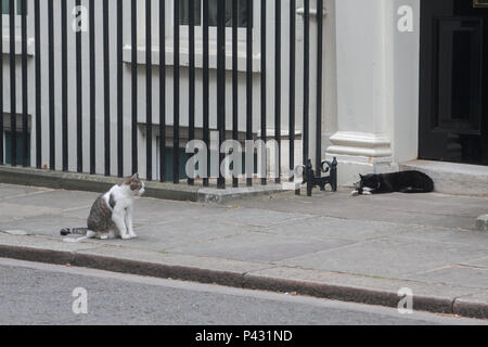 Londres, Royaume-Uni. 20 juin 2018. Larry et Palmerston le chef résident de l'Mouser Foreign & Commonwealth Office à Downing Street Crédit : amer ghazzal/Alamy Live News Banque D'Images