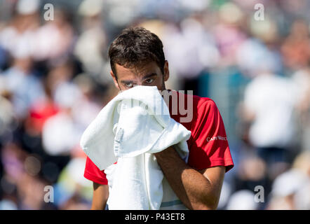 Marin Cilic de Croatie au cours de la 3e journée de championnat de tennis l'arbre de la fièvre au Queen's Club, Londres, Angleterre le 18 juin 2018. Photo par Andy Rowland Banque D'Images