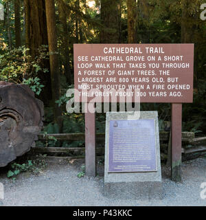 Close-up de pancarte, Cathedral Grove MacMillan Provincial Park Trail, l'île de Vancouver, Colombie-Britannique, Canada Banque D'Images