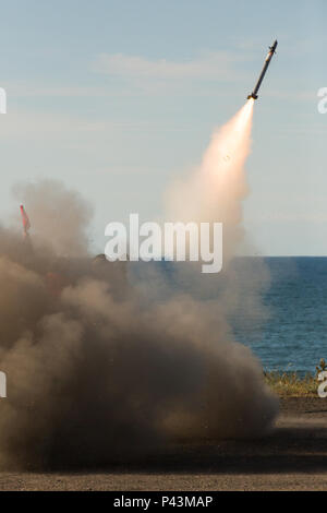 Soldat de l'armée polonaise, affecté à la 3e brigade de missiles surface-air, les incendies un Grom a les systèmes portables de défense système à un drone au cours de formation 2016 au Anakonda Ustka complexe gamme à Ustka, Pologne, le 9 juin 2016. Anakonda 2016 est un exercice multinational dirigée par la Pologne, qui a lieu tout au long de la Pologne à partir de juin 7-17. Cet exercice implique plus de 25 000 participants de plus de 20 nations. (U.S. Photo de l'armée par la FPC. Casey/Dinnison libéré) Banque D'Images