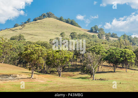 Vue sur la campagne dans la partie supérieure de la Hunter Valley, Nouvelle-Galles du Sud, Australie. Banque D'Images