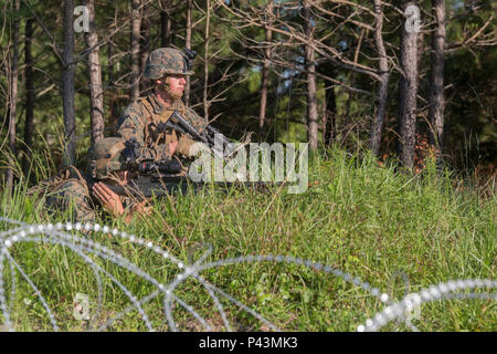 Le soldat de première classe Casin Mullinex et lance le Cpl. Shaun Carnley, mitrailleurs avec 3e Bataillon, 6e Régiment de Marines, configurer la sécurité défensive après capture de la zone d'atterrissage de 1688 à l'ennemi lors de la dernière de raid le Marine Corps Évaluation Préparation au combat à Camp Lejeune, en Caroline du Nord, le 9 juin 2016. L'MCCRE les Marines tests sur leur capacité à fonctionner comme un tout et est l'exercice final comme un bataillon pendant l'instruction préalable au déploiement. Banque D'Images