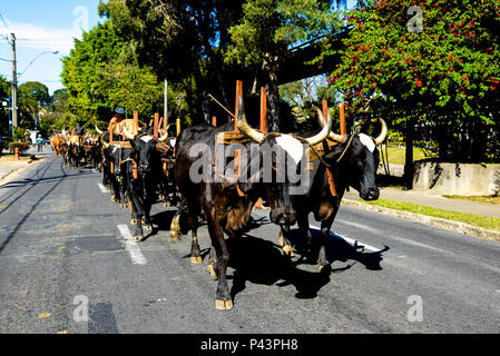 Cavalhada durante un XXXI Festa AUI. PoÃ§os de Caldas/MG, Brasil 25/08/2013. Foto : Alexandre Carvalho / Fotoarena Banque D'Images