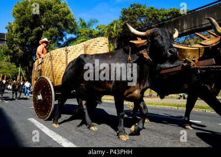 Cavalhada durante un XXXI Festa AUI. PoÃ§os de Caldas/MG, Brasil 25/08/2013. Foto : Alexandre Carvalho / Fotoarena Banque D'Images