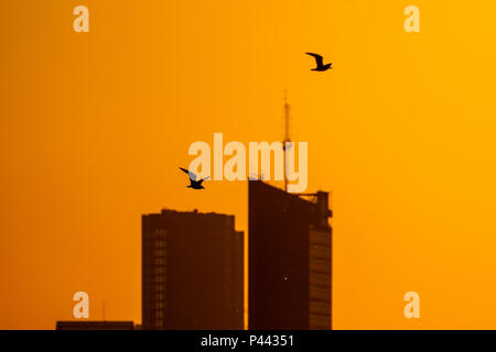 L'été rouge coucher de soleil sur la ville de Riga Banque D'Images