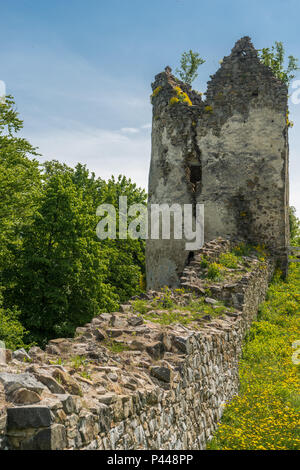 Ruines du château de saris près de Presov en Slovaquie Banque D'Images