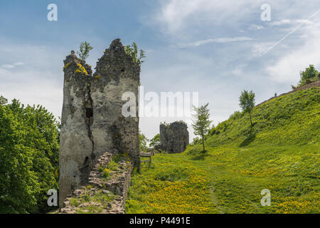 Ruines du château de saris près de Presov en Slovaquie Banque D'Images