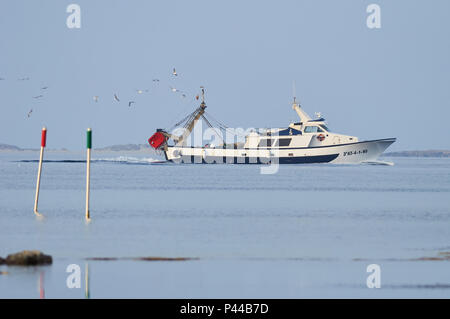 Chalutier "Juan Lloret" suivi d'un troupeau de mouettes près du port de La Savina à Ses Salines (Parc Naturel des Îles Baléares, Formentera, Espagne) Banque D'Images