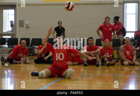 Sarah vétéran du Corps des Marines des États-Unis sert de gouvernail la balle lors d'un 2016 Ministère de la Défense (DoD) Warrior Games sitting volleyball match à l'Académie militaire des États-Unis à West Point, N.Y., 13 juin 2016. Un gouvernail, Montgomery, Alabama), indigène, est membre de l'équipe des Jeux de guerrier DoD 2016 Marine Corps. La DoD 2016 Jeux de guerrier est un concours sportif adapté des blessés, des malades et des blessés militaires et des anciens combattants de l'armée américaine, Marine Corps, la marine, la Force aérienne et le commandement des opérations spéciales, les Forces armées britanniques. (U.S. Marine Corps photo par le Cpl. Calvin Shamoon/libérés) Banque D'Images