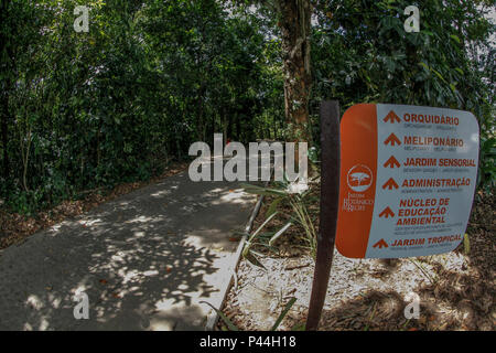 A partir de jeudi (16), o Jardim BotÃ¢nico da Cidade serÃ¡ reinaugurado depois de table à repasser plus de quatro meses em reforma, com 10,7 hectares de mata atlÃ¢ntica e belas espÃ©cies, un exÃ³ticas mais novidade atraente para o pÃºblico sÃ£o os novos jardins das orquÃ-deas, bromÃ©lias e¡cactÃ ace. RECIFE/PE, Brasil. Foto : Carlos Ezequiel Vannoni/Agencia JCM/Fotoarena Banque D'Images