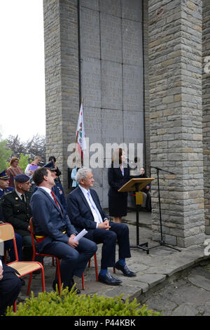 Denise Campbell Bauer, Ambassadeur des États-Unis au Royaume de Belgique, s'adresse aux participants pendant la Bataille des Ardennes Cérémonie commémorative au Monument du Mardasson, Bastogne, Belgique, le 03 juin 2016. (U.S. Photo de l'armée par Visual Spécialiste de l'information Pascal Demeuldre/libérés) Banque D'Images