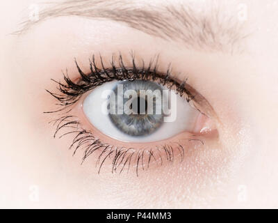 Femme gris eye close up. Looking at camera Banque D'Images