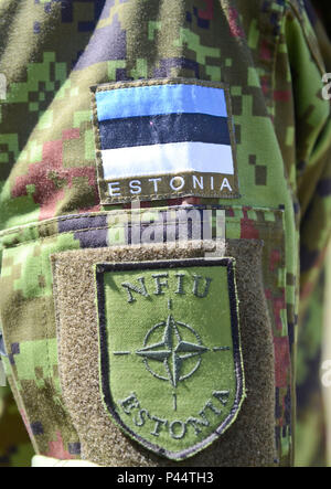 Un soldat porte la force de l'OTAN patch Unité d'intégration lors de la cérémonie d'ouverture du nouveau bâtiment du siège de la NFIU à Tallinn, Estonie, 13 juin 2016. La NFIU est l'un des six 40-personne au siège de l'OTAN établie le long du flanc est de l'Alliance. Conçu et monté pour faciliter la réception et le mouvement de l'OTAN et les forces du pays partenaire dans le pays où ils résident dans la NFIU, font partie de l'adaptation de l'OTAN à la sécurité d'un environnement dominé par la résurgence et agressive de la Russie. (U.S. Photo de l'armée par le sergent. Steven M. Colvin) Banque D'Images