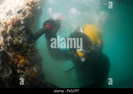 U.S. Navy Diver 1re classe John Neal, affecté à l'unité mobile de récupération et de plongée 2, inspecte un quai endommagé le 25 janvier 2010, à Port-au-Prince, Haïti. Les ingénieurs militaires mènent des opérations de réparation et de récupération au principal port maritime à Port-au-Prince à l'appui de l'opération réponse unifiée. Banque D'Images