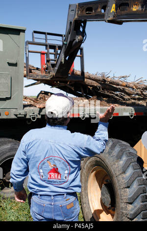 Douglas A. Dupris Maintenance, Directeur de la Société de logement de la rivière Cheyenne Cheyenne River pour la tribu des Sioux, diriger une armée américaine M915A3 tracteur tirant des locomotives de bois qui est véhiculée par les pilotes à partir du 154e Scottish Regiment, Royal Logistics Corp., l'armée britannique, et 1244th Transportation Company, New Jersey Army National Guard, lors d'un drop off bois pour la tribu Sioux Coyote d'or à l'appui de l'exercice, Dédougou, S.D., 15 juin 2016. Le Coyote d'or l'exercice est un trois-phase, axée sur des mises en exercice mené dans les Black Hills du Dakota du Sud et le Wyoming, qui e Banque D'Images