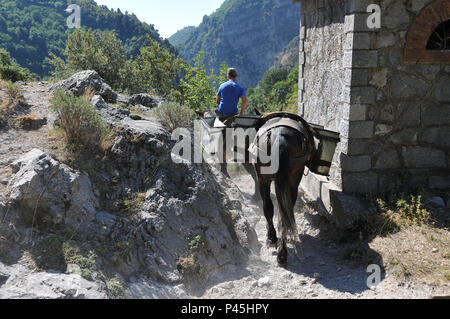 Jeune agriculteur à cheval, le transport des marchandises sur une montagne dans le sud de l'Italie Banque D'Images