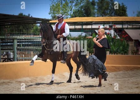 L'Espagnol de Flamenco avec cheval et danseuse Banque D'Images