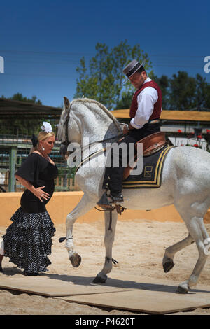 L'Espagnol de Flamenco avec cheval et danseuse Banque D'Images