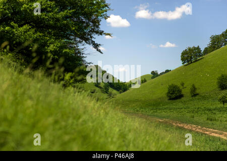 Zagajica hills en Serbie, beau paysage à un jour d'été Banque D'Images