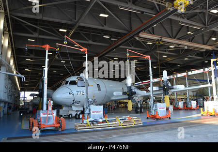 160603-N-LQ867-001 JACKSONVILLE, Floride (6 juin 2016) Nouveau mobile antichute sont mis en scène à l'intérieur du hangar P-3 au Centre de préparation de la flotte sud-est. Les unités utilisent un système de harnais de câble et de permettre à des artisans pour travailler en toute sécurité tout en haut au-dessus de l'étage du hangar. En outre, le nouveau système permettra à un environnement de travail plus spacieux avec le retrait des anciens, de la plate-forme-L'équipement de protection antichute. (U.S. Photo par Marine Clifford Davis/libérés) Banque D'Images