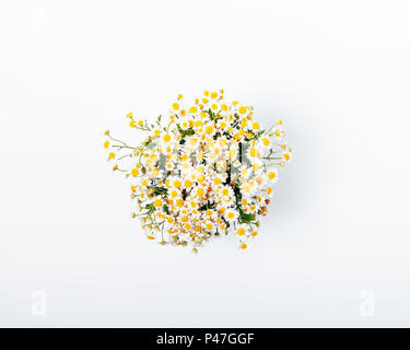 Superbe bouquet de marguerites sur tableau blanc, vue du dessus. Un minimum d'été télévision arrangement laïcs tas de beaux. camomille sauvage Banque D'Images