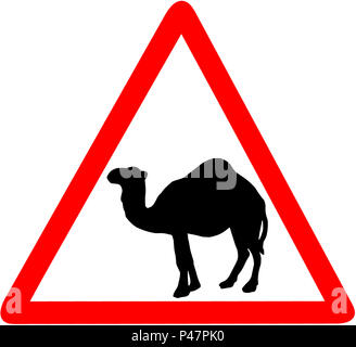 Camel attention avertissement triangulaire rouge de signalisation, isolé sur fond blanc Banque D'Images