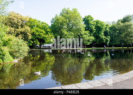 Le lac de Saint Stephen's Green Park, Dublin, Leinster Province, République d'Irlande Banque D'Images