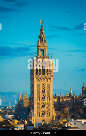 La Giralda de Séville, sur la 12e siècle tour mauresque connu sous le nom de la Giralda dans le centre de la vieille ville de Séville, Andalousie, espagne. Banque D'Images