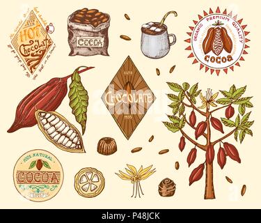 Les fèves de cacao et chocolat chaud. logos vintage moderne insignes pour la boutique menu. Les semences d'sur la plantation. style de calligraphie pour les profilés, les étiquettes. produits agricoles. gravés à la main dans de vieux croquis. Illustration de Vecteur