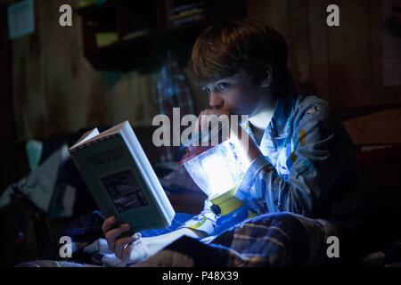 Titre original : insidieux : Chapitre 2. Titre en anglais : insidieux : Chapitre 2. Directeur de film : JAMES WAN. Année : 2013. Stars : Ty SIMPKINS. Credit : BLUMHOUSE PRODUCTIONS / Album Banque D'Images