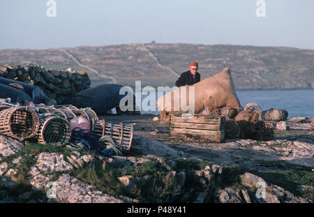 Homme Inishturbot rassembler des bottes de paille pour le transport à mainland, Connemara, comté de Galway, Irlande Banque D'Images