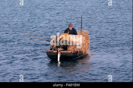 Curragh, côte ouest de l'Irlande traditionnelle bateau chargé vers le bas avec de la paille et les objets en laissant l'île de Inishturbot, Connemara, comté de Galway, Irlande Banque D'Images