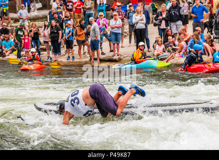 Standup paddleboard mâle concurrent tomber en cas de course ; Fibark ; festival de la rivière Arkansas River ; Salida ; Colorado ; USA Banque D'Images