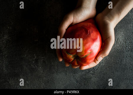 Les mains tenant le Cœur de Bull organique Heirloom Tomato. Superfood Saine alimentation Concept. Banque D'Images