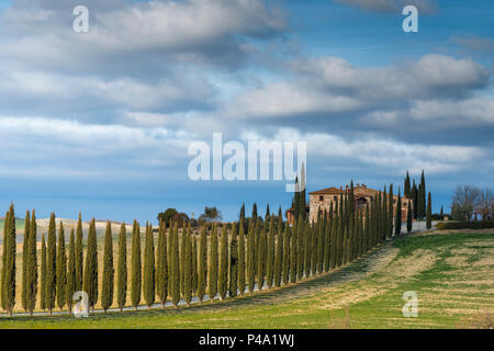 Poggio Covili dans Orcia Europe, Italie, Toscane, Val d'Orcia, Bagno Vignoni Banque D'Images