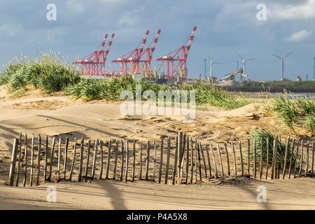 Crosby, Merseyside. Météo britannique. 21 Juin, 2018. . Sunshine a la côte avec des vents blustry causant l'érosion des dunes de sable. Cette barrière de sable ou sandbreak, comme une clôture à neige, est utilisée pour forcer la dérive, soulevée par le vent de sable pour s'accumuler dans l'endroit désiré. Clôtures à sable sont employées pour contrôler l'érosion et d'aider à la stabilisation des dunes de sable. Megamax cranes à l'horizon peut charger et décharger les bateaux et 22 CRMGs, pesant 1 000 tonnes chaque partie de l'élaboration de Liverpool2 Seaforth Dock. Credit : MediaWorldImages/Alamy Live News Banque D'Images