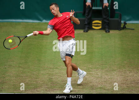 Halle, Allemagne. 21 Juin, 2018. Tennis, ATP Tour, des célibataires, des hommes, série de 16. L'Allemagne de commentaires en action contre l'Australie Ebden. Credit : Friso Gentsch/dpa/Alamy Live News Banque D'Images