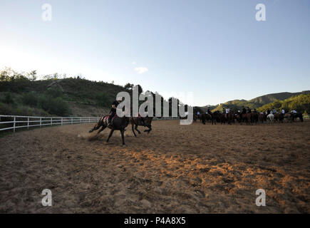 Chengde, Chine, province de Hebei. 20 Juin, 2018. Les coureurs qui participent à un prochain live performance historique prendre une formation équestre dans Shuangluan District de Chengde, dans la province du Hebei en Chine du nord, le 20 juin 2018. Credit : Wang Liqun/Xinhua/Alamy Live News Banque D'Images