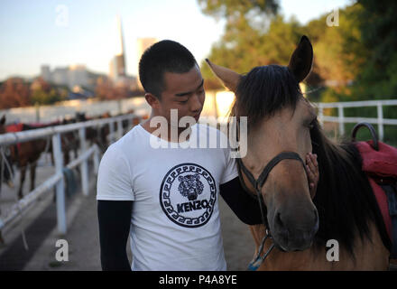 Chengde, Chine, province de Hebei. 20 Juin, 2018. Un coureur qui participe à une prochaine live performance historique console son cheval après un entraînement équestre dans Shuangluan District de Chengde, dans la province du Hebei en Chine du nord, le 20 juin 2018. Credit : Wang Liqun/Xinhua/Alamy Live News Banque D'Images