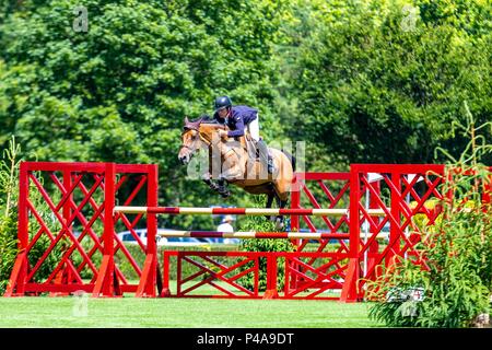 Hickstead, West Sussex, UK. 21 juin 2018. Gagnant. Joe Whitaker équitation Diola. GBR. La Stoner Jewellers Vase. Le Shira Al'aa Derby Hickstead Réunion. Concours hippique. Le All England jumping course. Hickstead. West Sussex. UK. Jour 2. 21/06/2018. Credit : Sport en images/Alamy Live News Banque D'Images