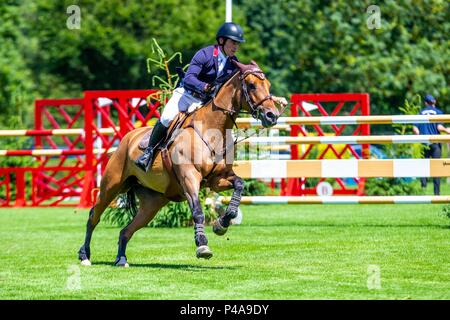 Hickstead, West Sussex, UK. 21 juin 2018. Gagnant. Joe Whitaker équitation Diola. GBR. La Stoner Jewellers Vase. Le Shira Al'aa Derby Hickstead Réunion. Concours hippique. Le All England jumping course. Hickstead. West Sussex. UK. Jour 2. 21/06/2018. Credit : Sport en images/Alamy Live News Banque D'Images