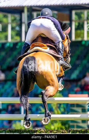 Hickstead, West Sussex, UK. 21 juin 2018. Gagnant. Joe Whitaker équitation Diola. GBR. La Stoner Jewellers Vase. Le Shira Al'aa Derby Hickstead Réunion. Concours hippique. Le All England jumping course. Hickstead. West Sussex. UK. Jour 2. 21/06/2018. Credit : Sport en images/Alamy Live News Banque D'Images