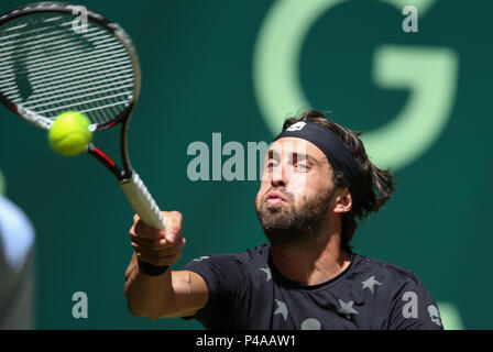 Halle, Allemagne. 21 Juin, 2018. Tennis, ATP Tour, des célibataires, des hommes, série de 16 : Nikoloz Basilashvili de Géorgie en action de la Croatie. Coricida encore Credit : Friso Gentsch/dpa/Alamy Live News Banque D'Images