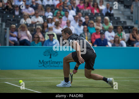 Le Queen's Club, London, UK. 21 Juin, 2018. Jour 4 Championnats de l'arbre de la fièvre sur le court central avec Jamie Murray (GBR) et Bruno SOARES (BRA) vs Marcus Daniell (NZL) et Wesley Koolhof (NED). Credit : Malcolm Park/Alamy Live News. Banque D'Images